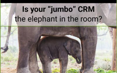 How to Be a Better Sales Leader: Is your “Jumbo” CRM the elephant in the room? 